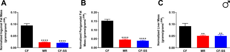 Figure 1—figure supplement 1.