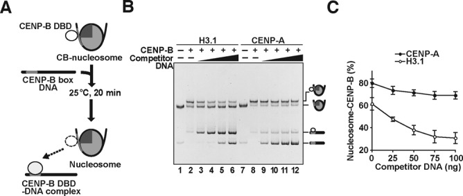 Figure 2.