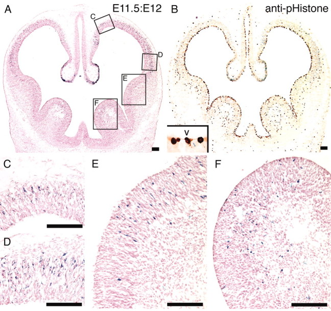 
Figure 9.
