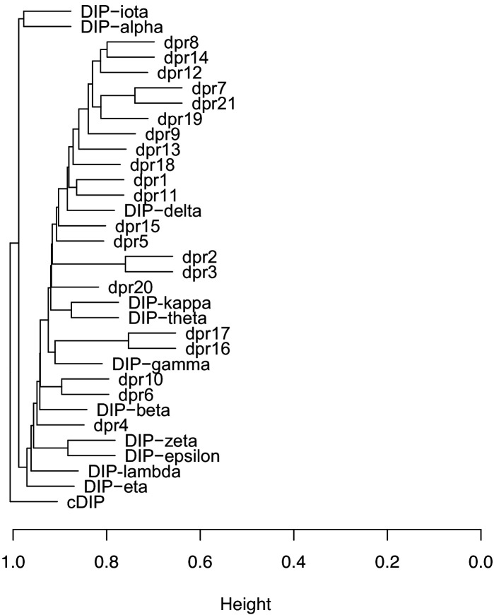 Figure 8—figure supplement 2.