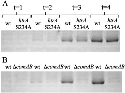 FIG. 7.