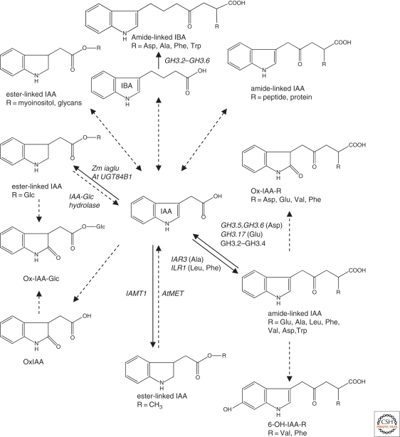 Figure 3.