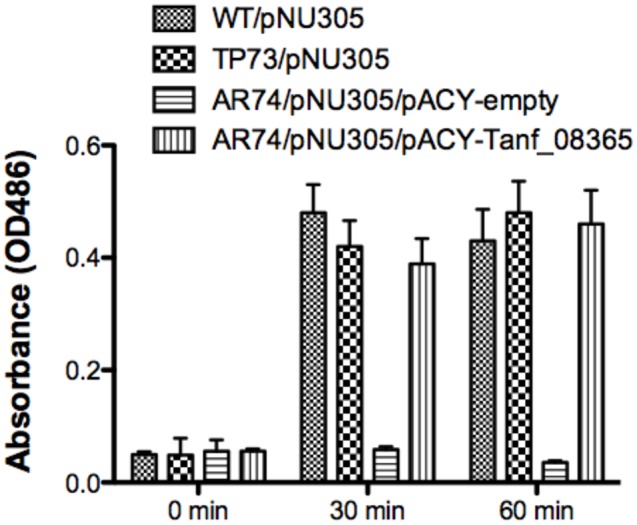 FIGURE 1