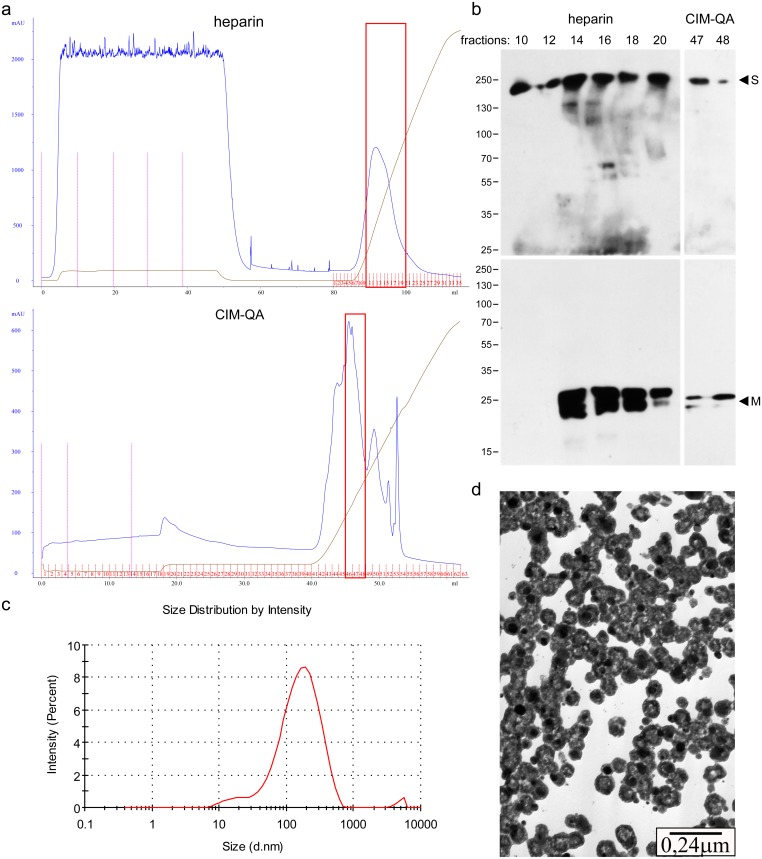 Fig 5