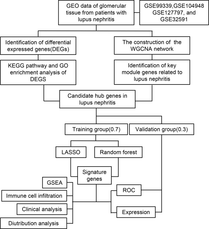 Figure 1