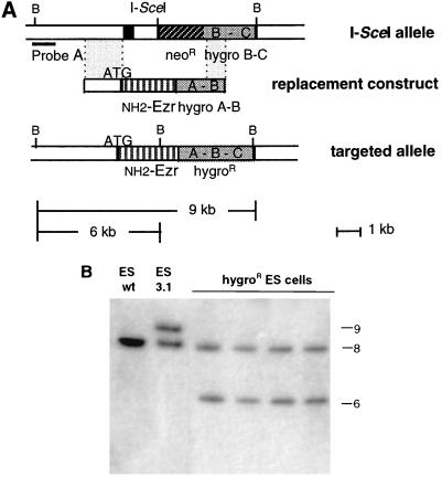 FIG. 3