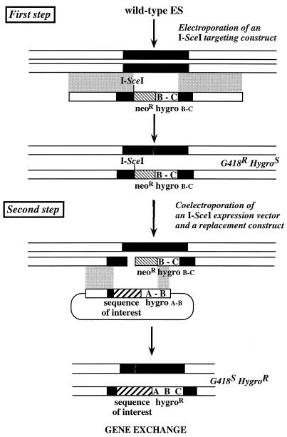 FIG. 1