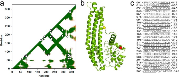 FIGURE 7.