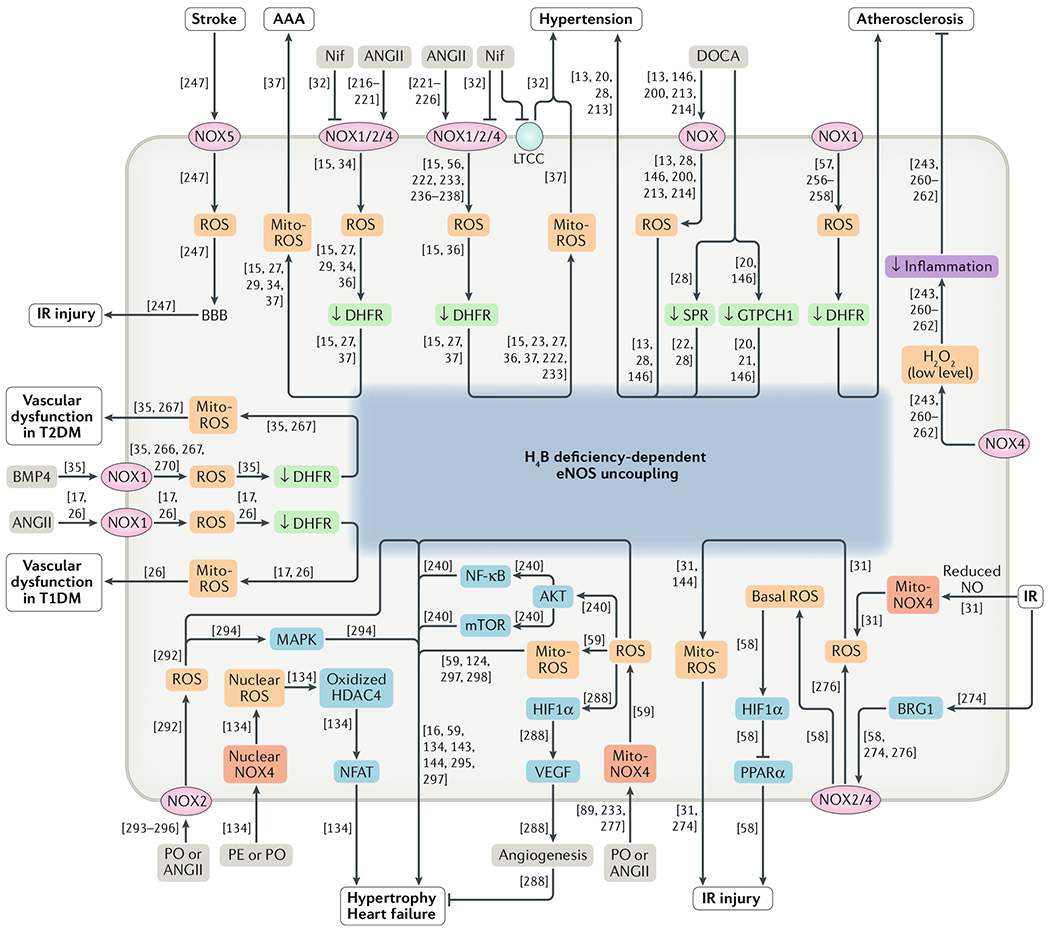 Fig. 1 |