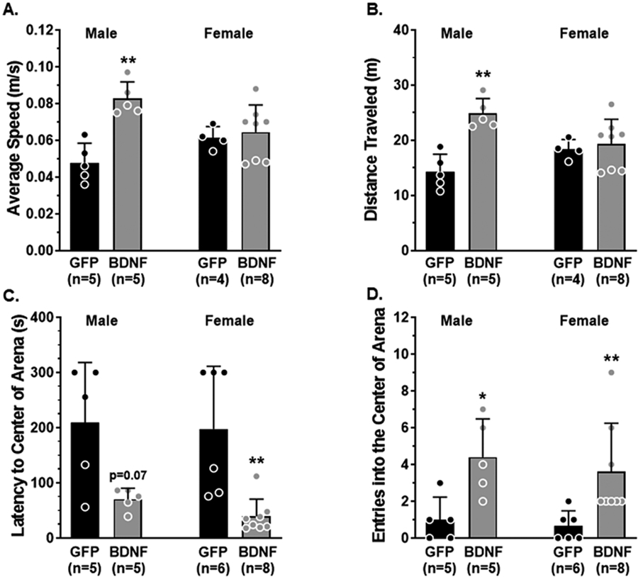 Fig 2.