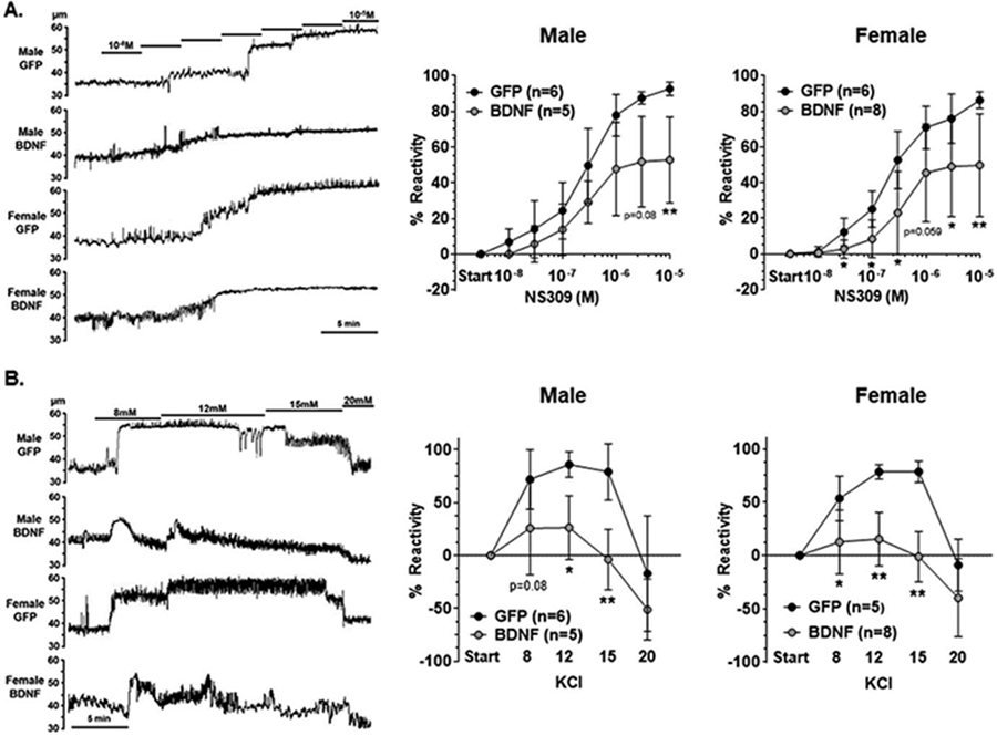 Fig 4.