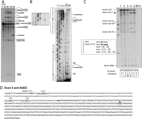 FIGURE 4.