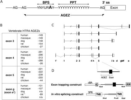 FIGURE 1.