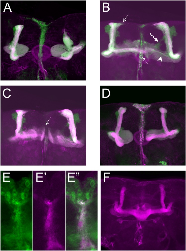 FIGURE 3