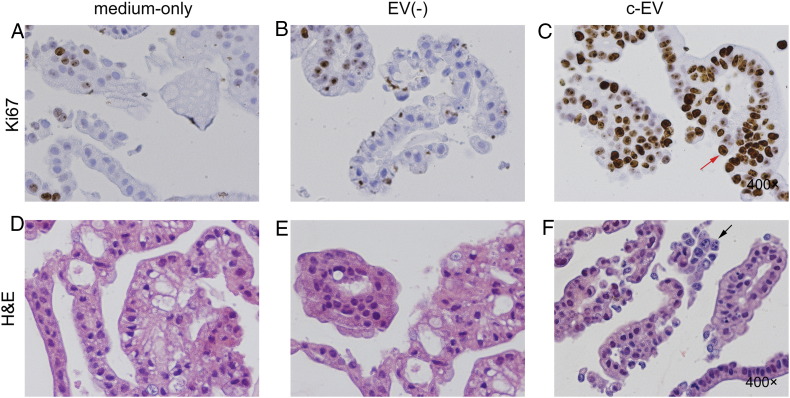 Figure 3: