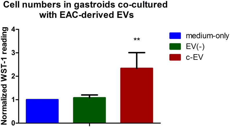 Figure 4: