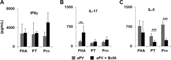 FIG 6