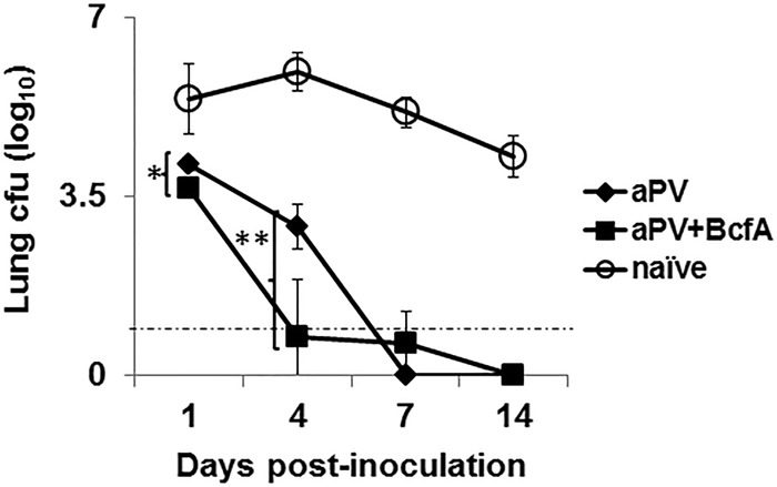 FIG 5