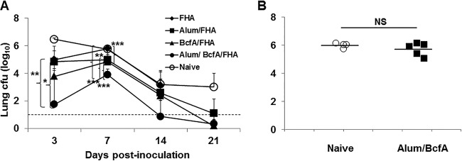 FIG 3