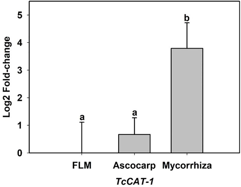 Fig 7