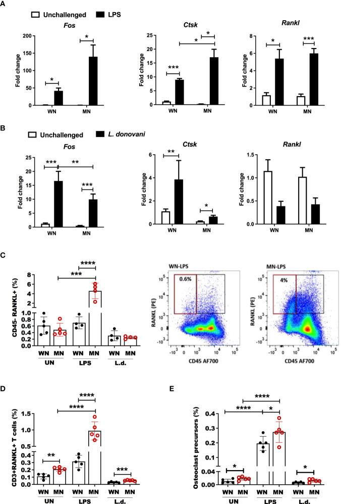 Figure 6