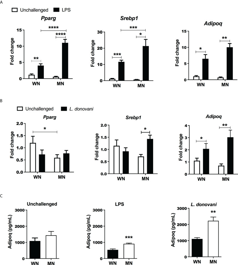 Figure 4