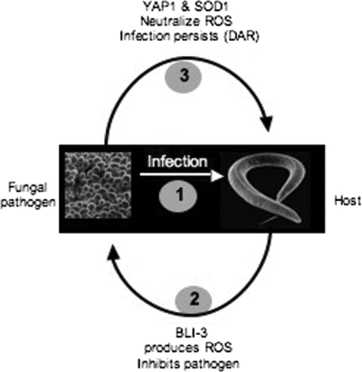 FIG. 6.