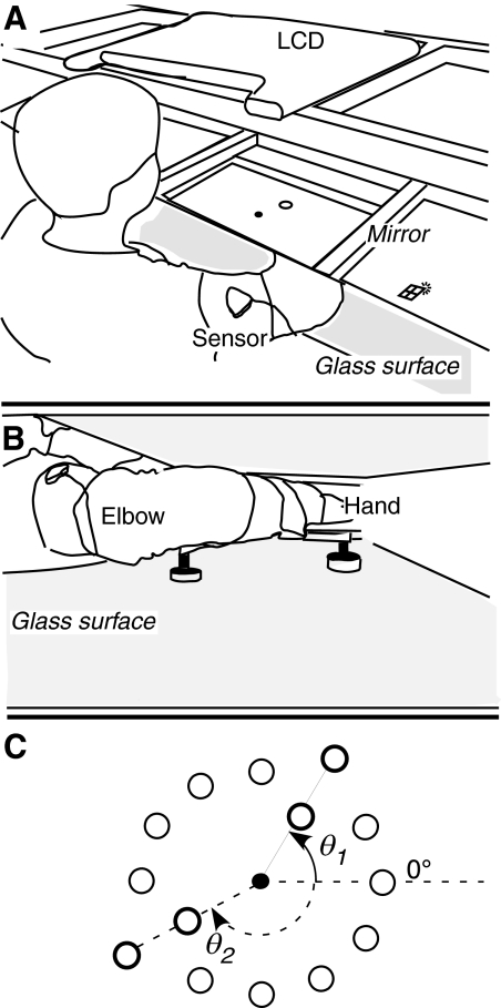 Fig. 1.