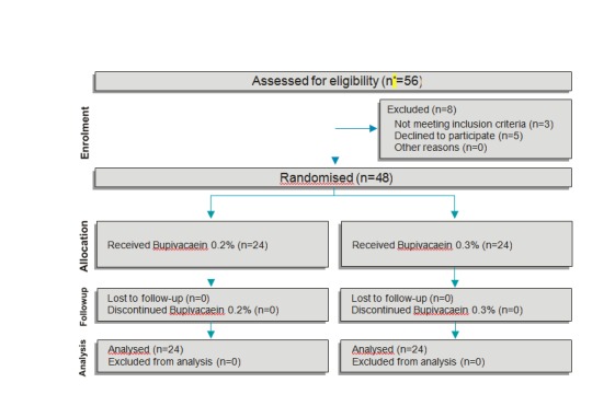 Fig. 1. Flow diagram of patients in the trial