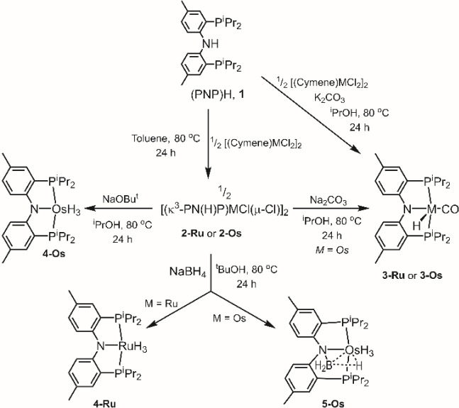 Scheme 1