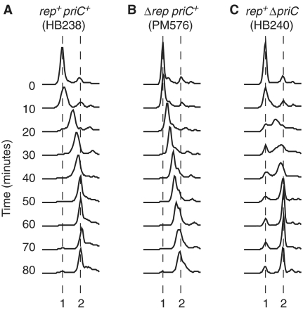 Figure 2.