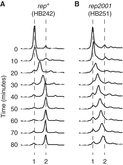 Figure 5.