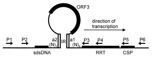 FIG. 7