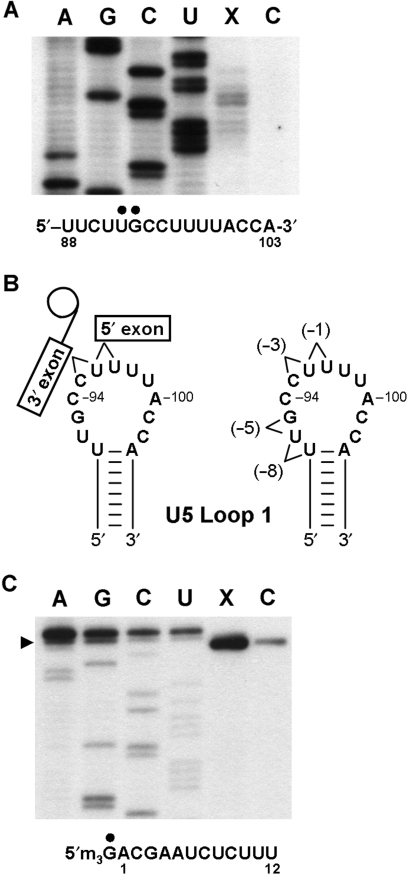 Figure 7.