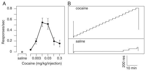 Figure 10.5.3