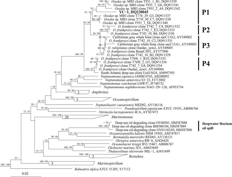 FIG 3