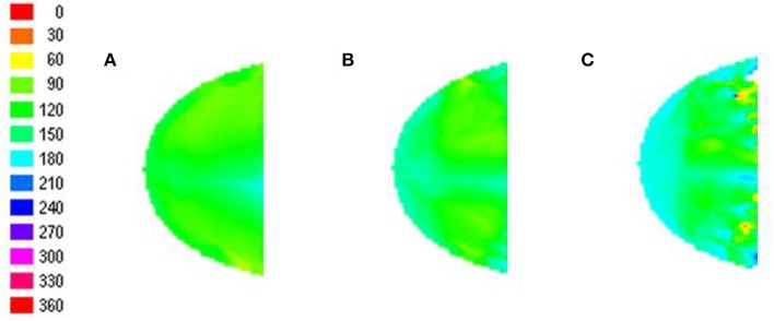 Figure 10