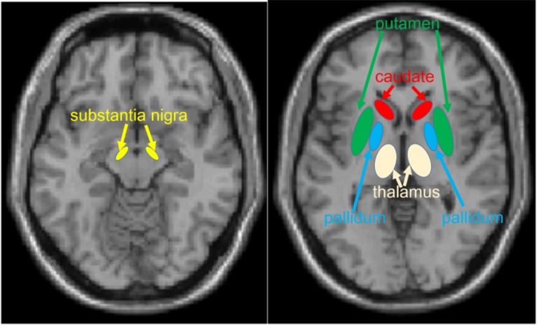 Fig. (3)