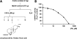 <b>FIG. 2.</b>
