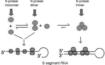 FIG. 7.