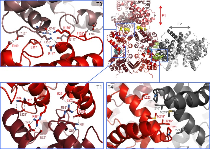 Figure 4.