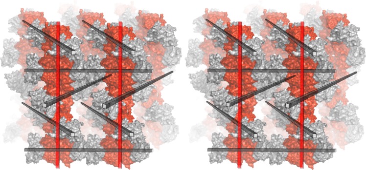 Figure 3—figure supplement 1.