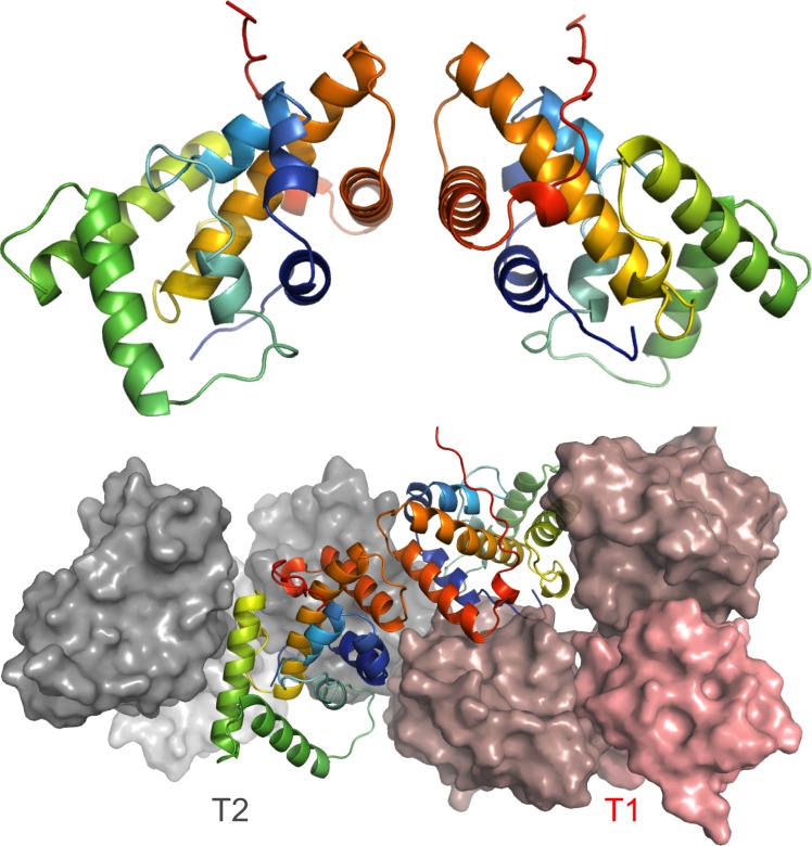 Figure 2—figure supplement 1.