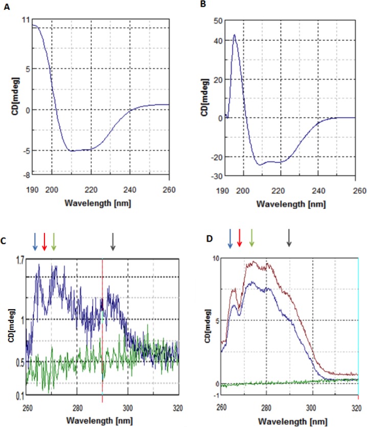 Figure 1—figure supplement 1.