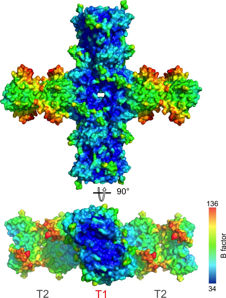 Figure 4—figure supplement 2.