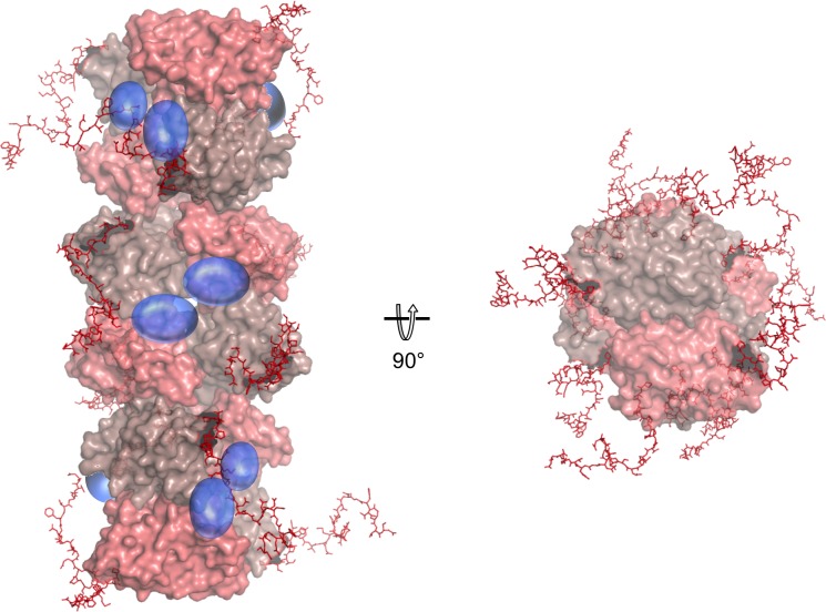 Figure 3—figure supplement 2.