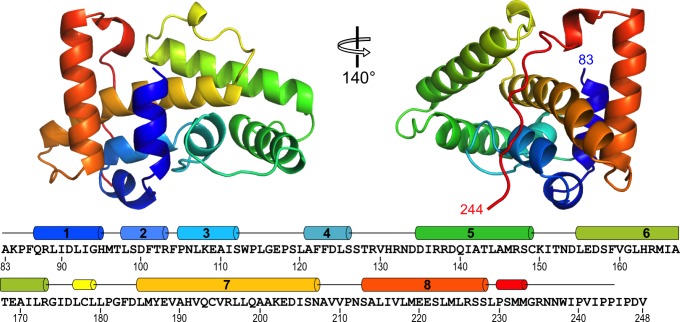 Figure 2.