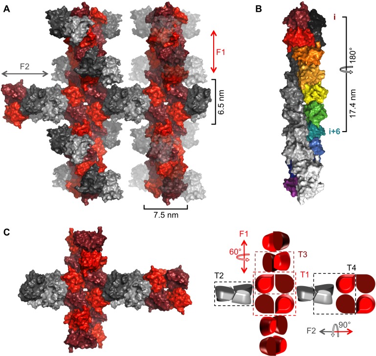 Figure 3.