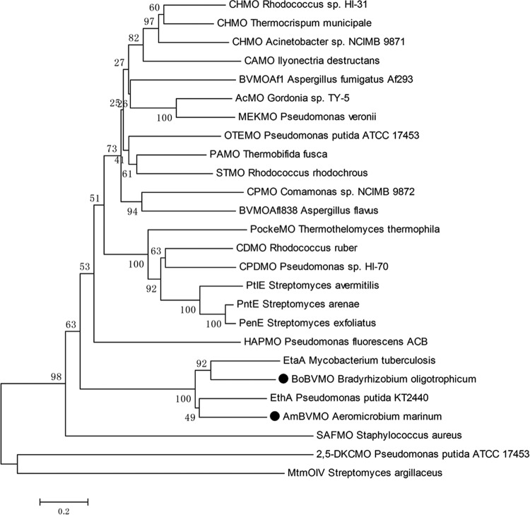 FIG 2