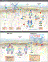 Figure 3 (facing page).
